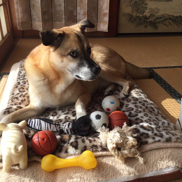 Aad10802 2728 479f b54f 37cec65392f4 1514985714872