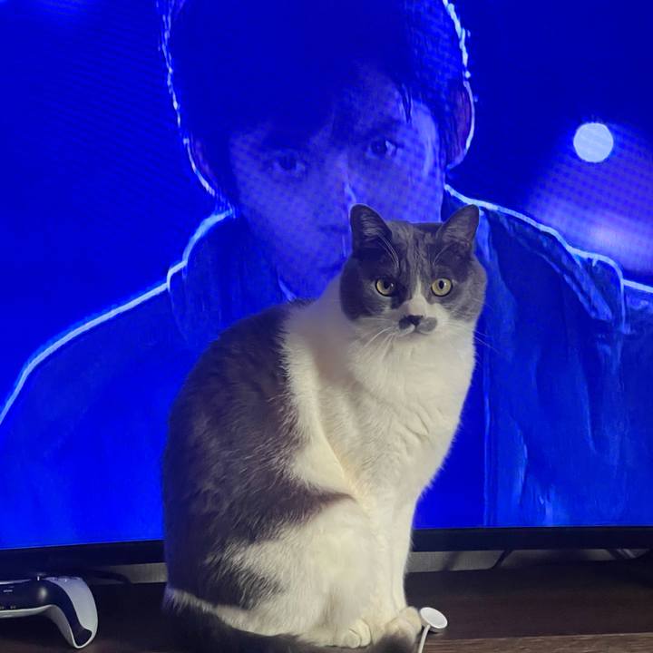 Aad12c2d 1a6f 4202 9a54 651d0d899936 1733550653622