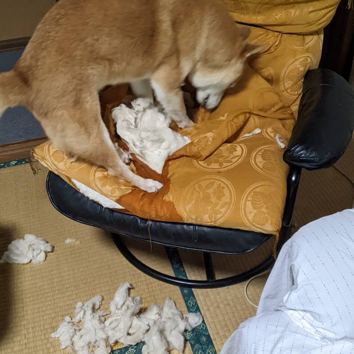 Aad140cb 8ddc 4dab bb38 a5efb1eceddb 1725073904331