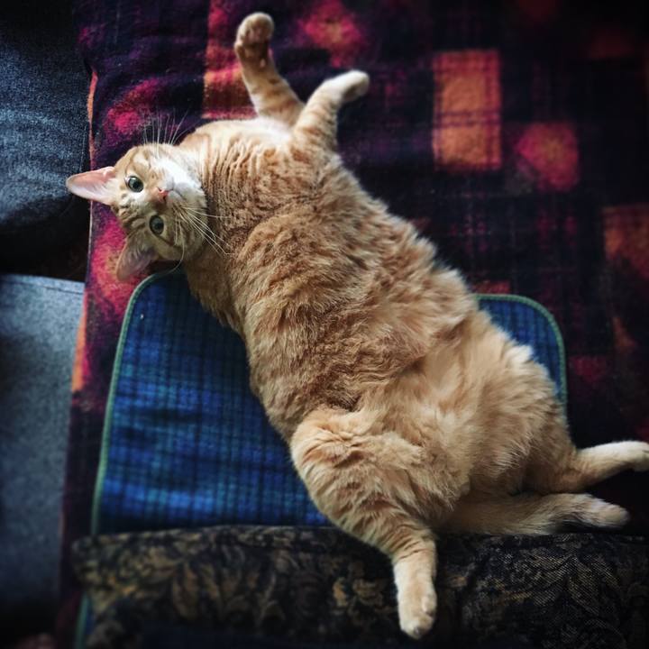 Aad14a3a a627 4e6e 96b6 1994838aa781 1591409803677