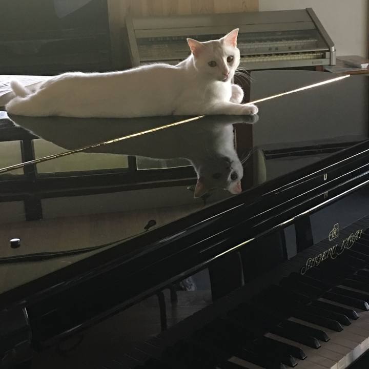 Aad14fba 9058 4223 8c7a 234b39e4bc1c 1531438920258