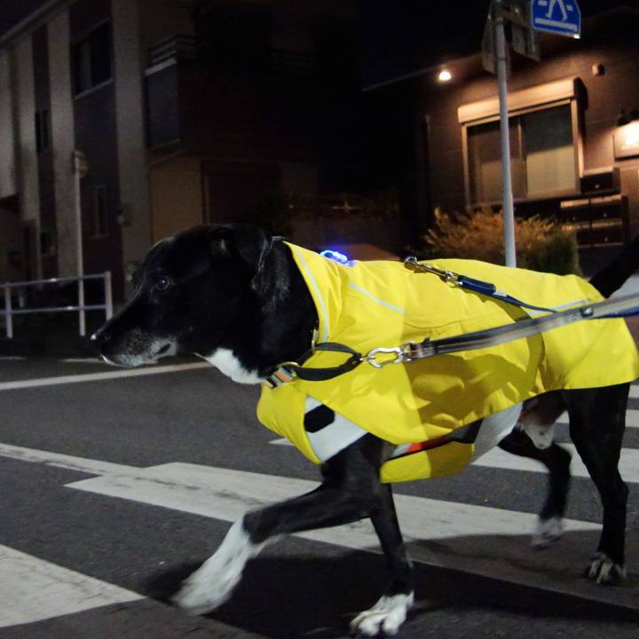 Aad155fd ba26 4a19 8a10 b7d561ad1a3c 1736680015753