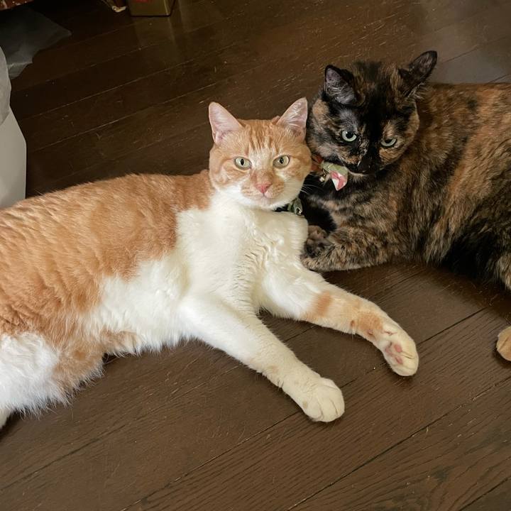 Aad17dce 76d8 4405 a24c 3a9d9fd5577e 1756008420899