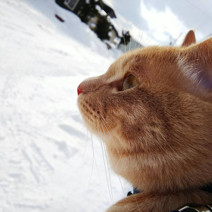 Aad18e91 f9ba 4465 9283 5d9d577e53de 1550207049273