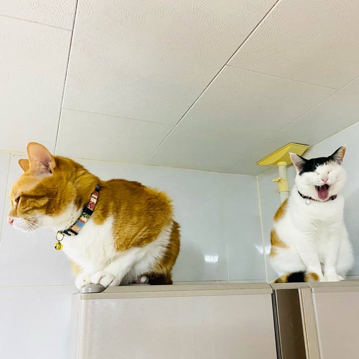 Aad1dc62 4dbf 4dcf a91f 88e65bde8335 1676412666441