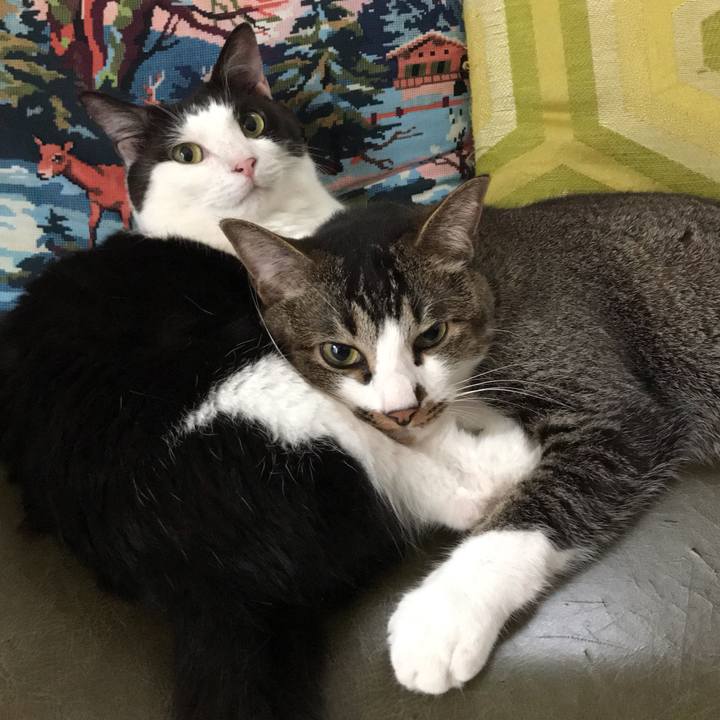 Aad1de81 5861 407e b33f 16778122ef03 1559956846034