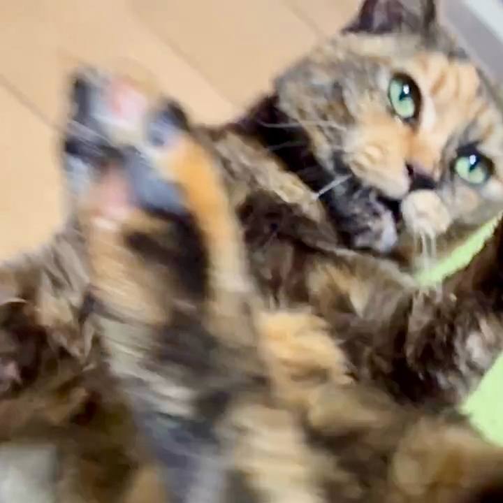 Aad1ed66 f734 4710 a6cd ffe2d487a19f 1769028815455