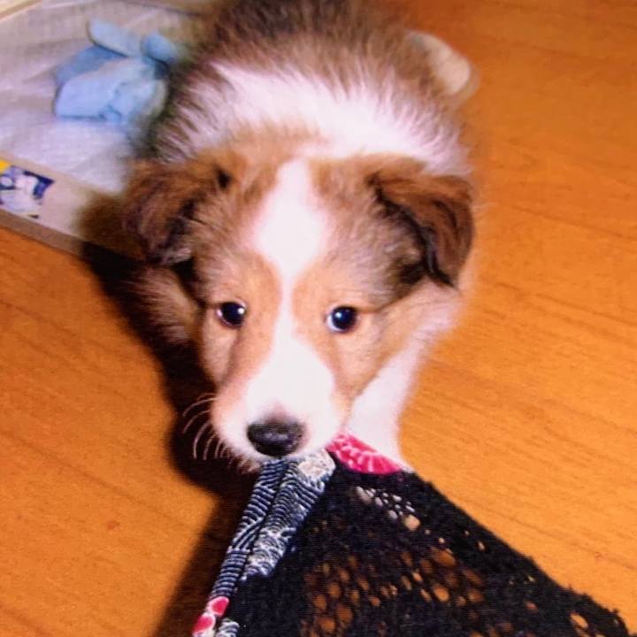 Aad20c2f 1edc 491f b74d effeedd3166f 1599228662111