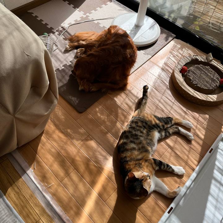 Aad2362a ae7a 4168 9e36 fc7477696e4d 1664064266048