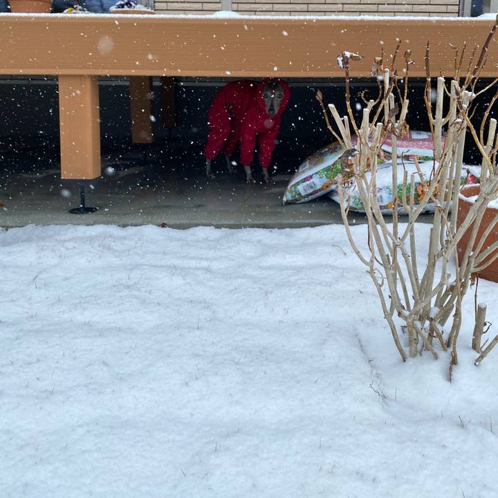 Aad26922 8f1d 45b8 9588 e3da6a264ad7 1770525189033