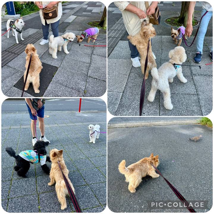 Aad28692 7d6b 4eef 935a 1b398c5bda83 1750132934263