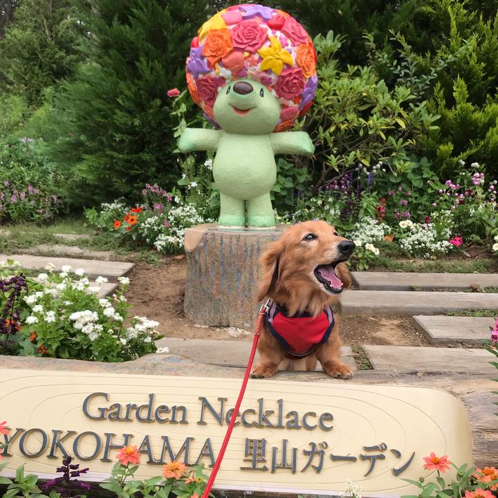 Aad28d92 ccdb 456e 8317 0eed8255006e 1569650567541