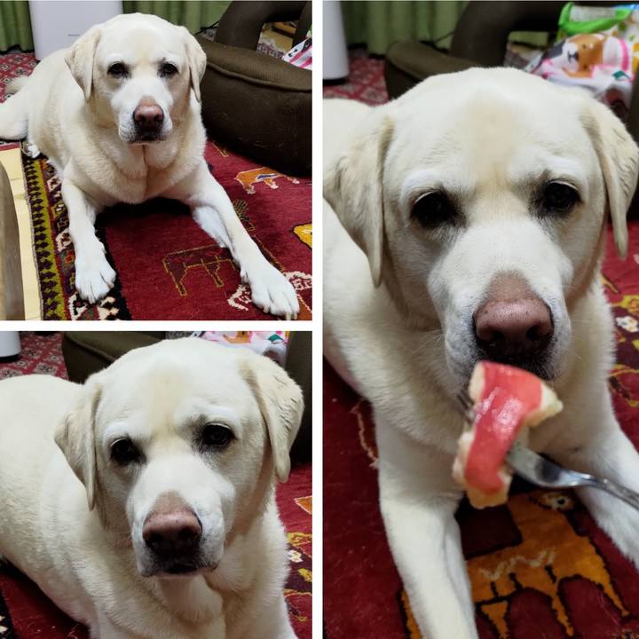 Aad3202f c7e3 491a b9f9 dd132aacb6d2 1724160973806