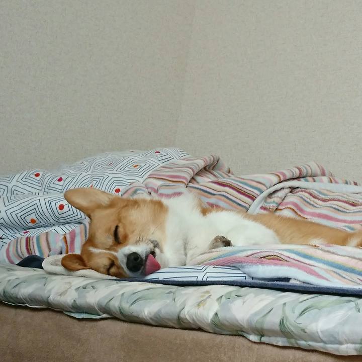 Aad3381f 87e2 4fb3 bf5c 4caecdbfd545 1512194098297