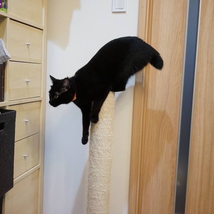 Aad394d8 1a0b 41cf 8173 e7728e4411ff 1538610484730