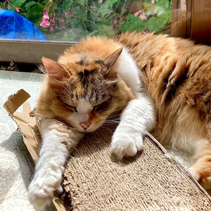 Aad3aec0 04c8 4346 878e 426d4a62eb83 1663384215201