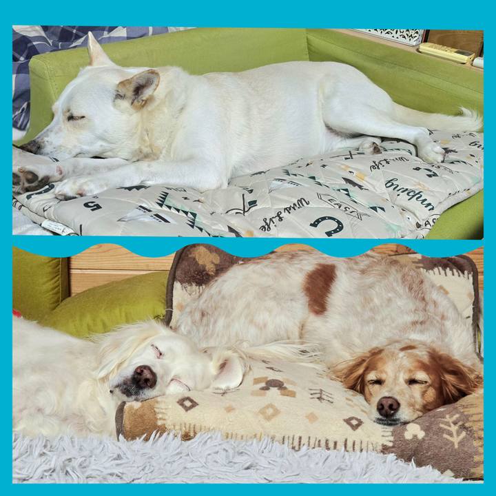 Aad3ca6a 1acb 46cf b346 aaa5c384861c 1733751533273