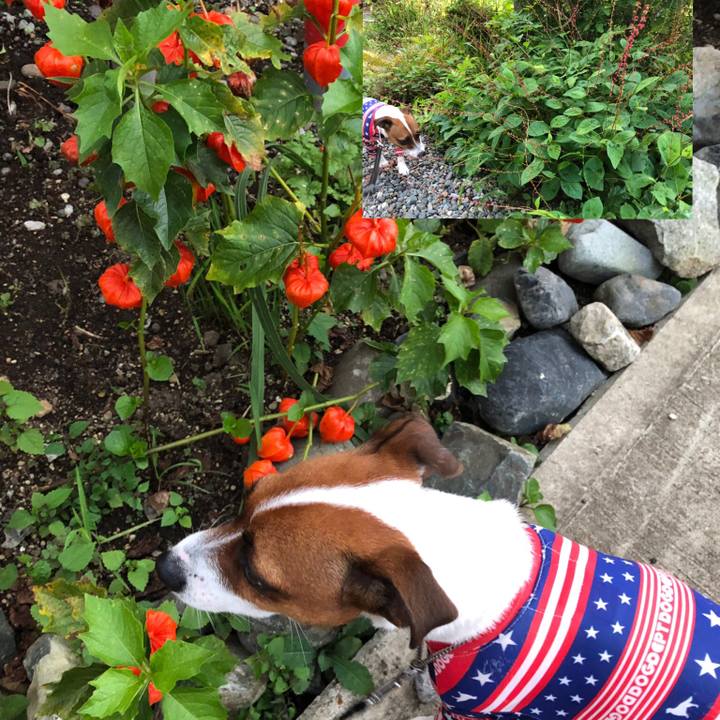 Aad3ec02 75c9 412e 8045 e1f637dd7980 1568456102530