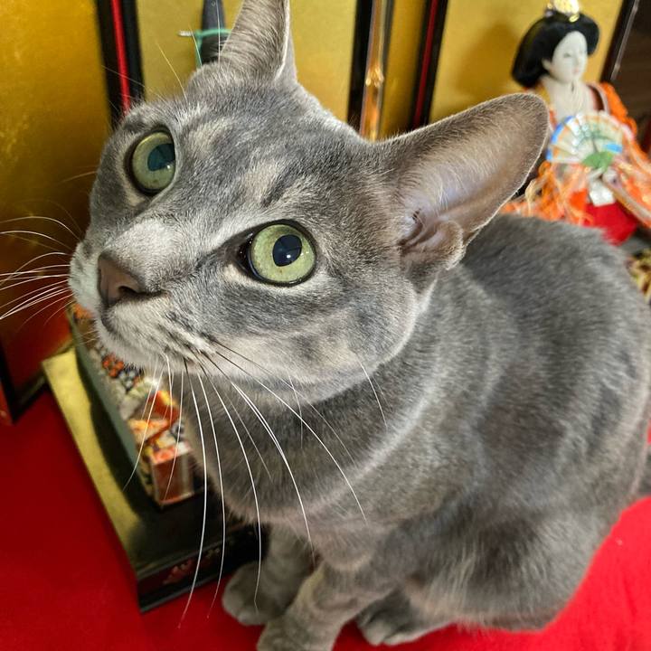 Aad40276 22d3 46cf b847 96feaeb1cc18 1646488064429