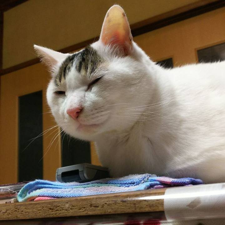 Aad44019 d78b 4b65 aad5 d61528f17e32 1521021318186