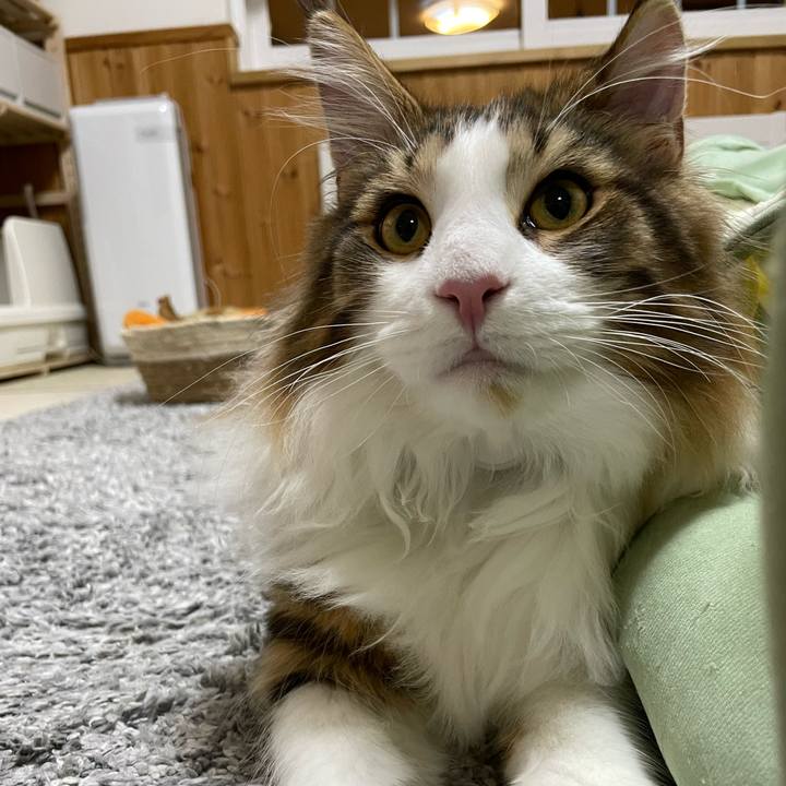 Aad47181 a0d1 4c8b bec1 d0cc84a863c3 1641762167183