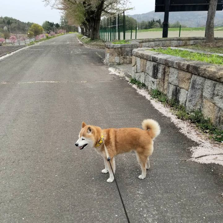 Aad49b94 a056 4cd8 bdc6 0a80cec791de 1681456288664