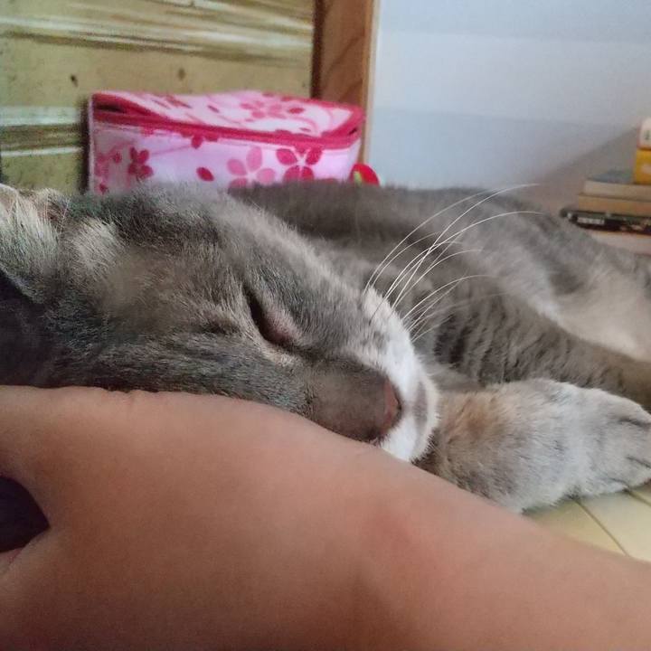 Aad4a5a1 3f80 4075 a3b2 b487633e3425 1660278585967