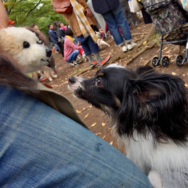 Aad4a619 9adb 4b54 84d0 5122e990e65e 1509176414898