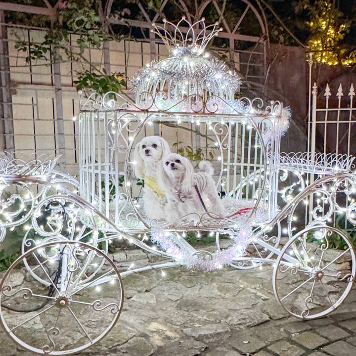 Aad4d2ed 1a3a 4c3e bcef 002cd6bdfb10 1702812297115