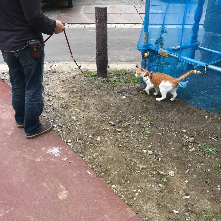 Aad4f9bd b6f1 41dd ba7b dafbd4785f30 1508037400405