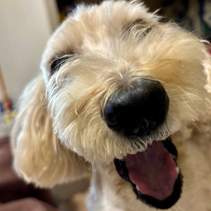 Aad50488 162b 4fb4 a968 3baa6c82a253 1760773951763