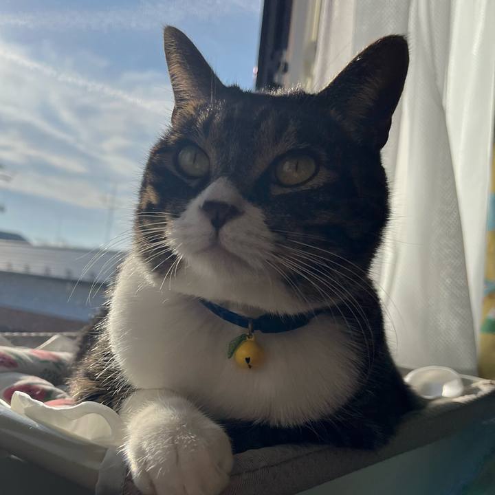 Aad5398f b357 494a b9e1 c94575b85763 1761537337511