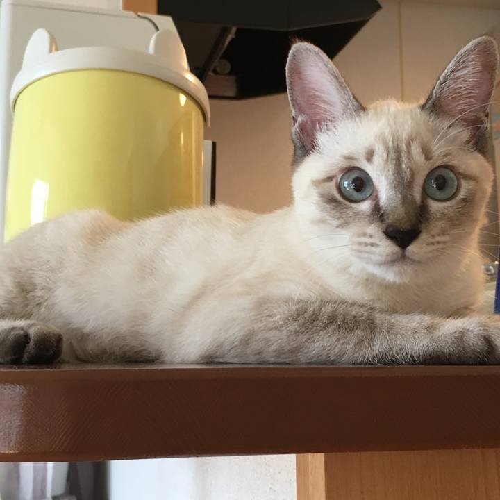 Aad54109 0950 4f98 bbd7 29e6358a8fdb 1539004137795