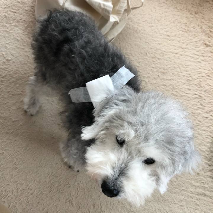 Aad54b64 b535 4486 bf59 8b7599140305 1663909249838