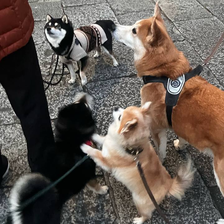 Aad5793a a259 4b4b acba 8818138c8ff3 1772794412481