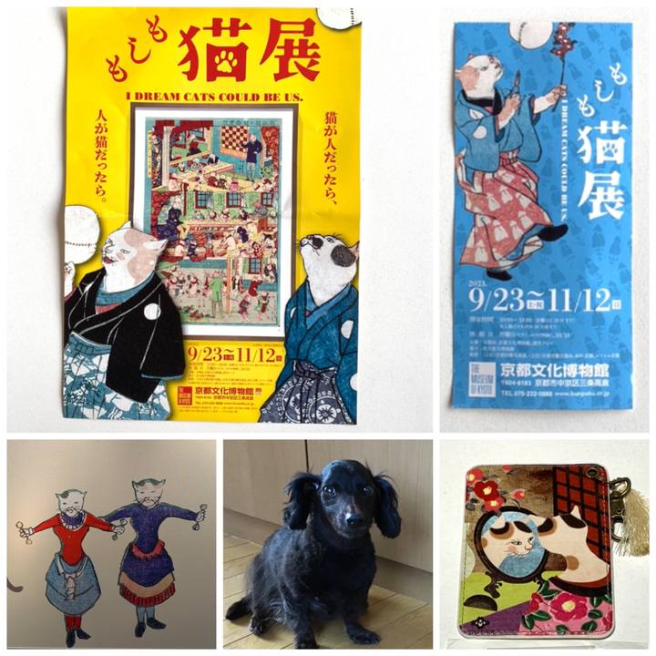 Aad58589 5c9a 48b7 8e75 721f93d2526c 1696633259320