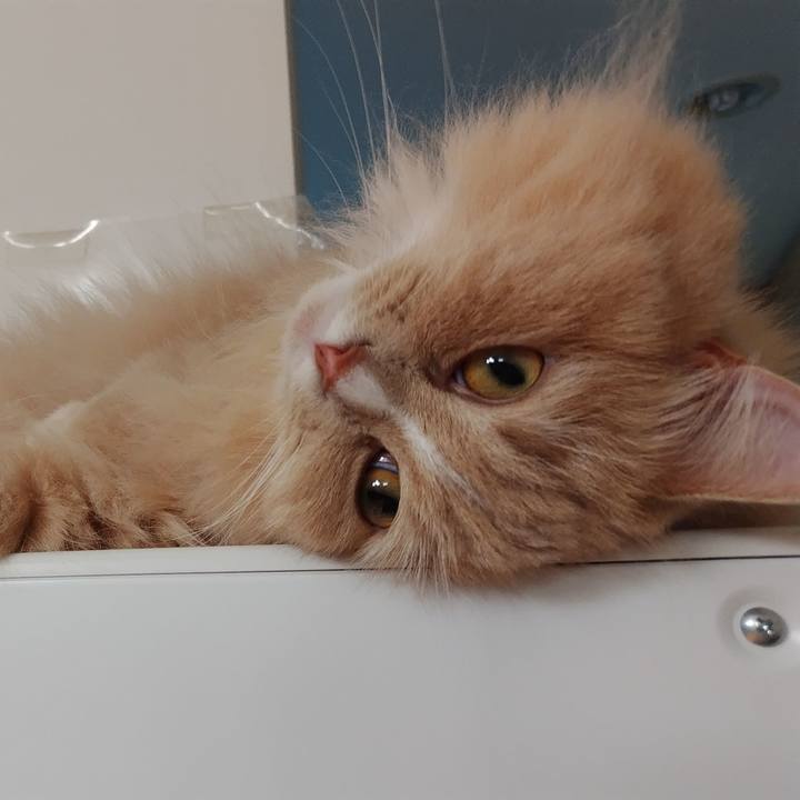 Aad591b2 e972 48d6 a654 c7a74eeaaafd 1696506426275