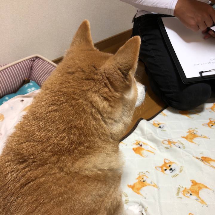 Aad5ac26 4cdd 4380 bbe2 367b94dbcfe3 1603264109775