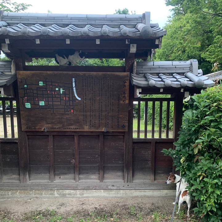 Aad5c50d 80fc 4fa2 a35d a6b35f7282e7 1560254306220