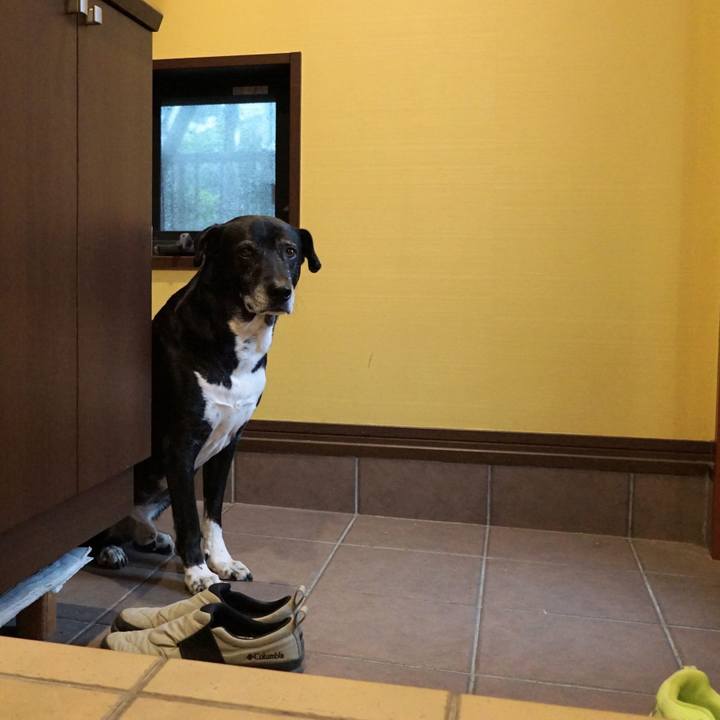 Aad60267 caf2 4dfd 9178 df3f747a603e 1771290089629