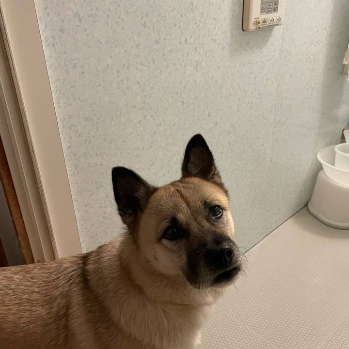 Aad6071d 20b9 458a 9e52 df19fce3c352 1638448383762