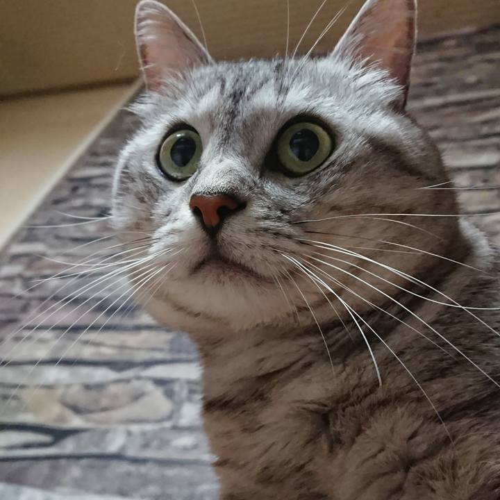 Aad61f66 c558 4db1 bb3c 4a5b0e4bea98 1536158301830