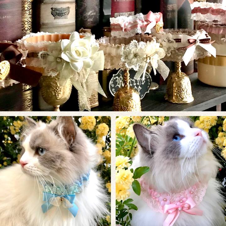 Aad62b82 b963 4bf2 b164 27dced406959 1588060166464