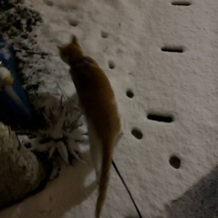 Aad6316a 1da8 47e7 9a5c 032b5ec3e4c9 1553947494910