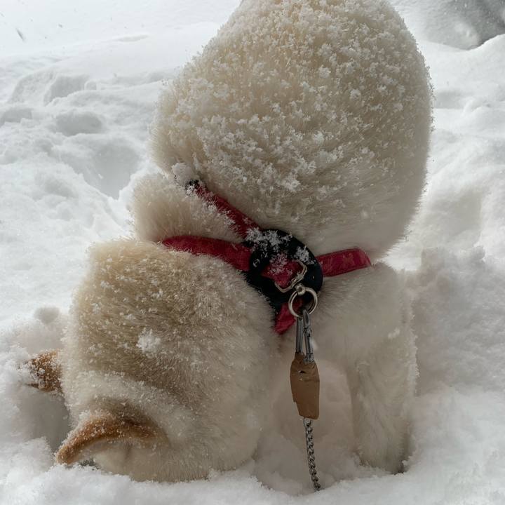 Aad634a0 2046 4940 ad12 59041d7b557a 1581379679571