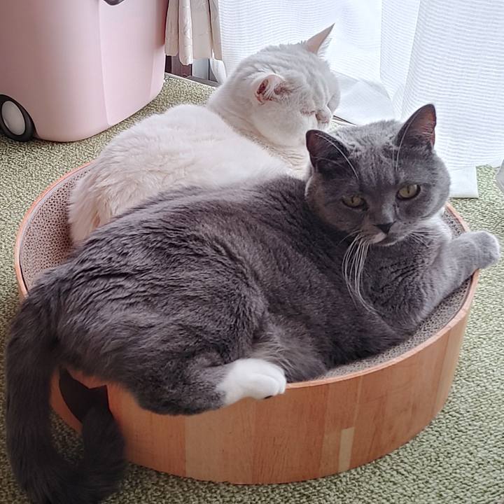 Aad64657 87e8 46ad 8178 e07b8233fb58 1641788452056