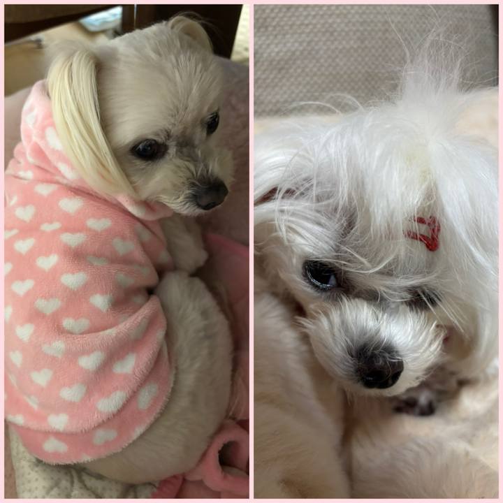 Aad65a32 a49c 4f20 9fa0 3d15e6ec62a1 1742461524167