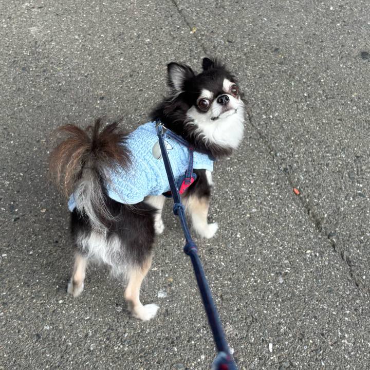 Aad682c3 e273 4782 a0e8 3dec3f9def3c 1724513691403