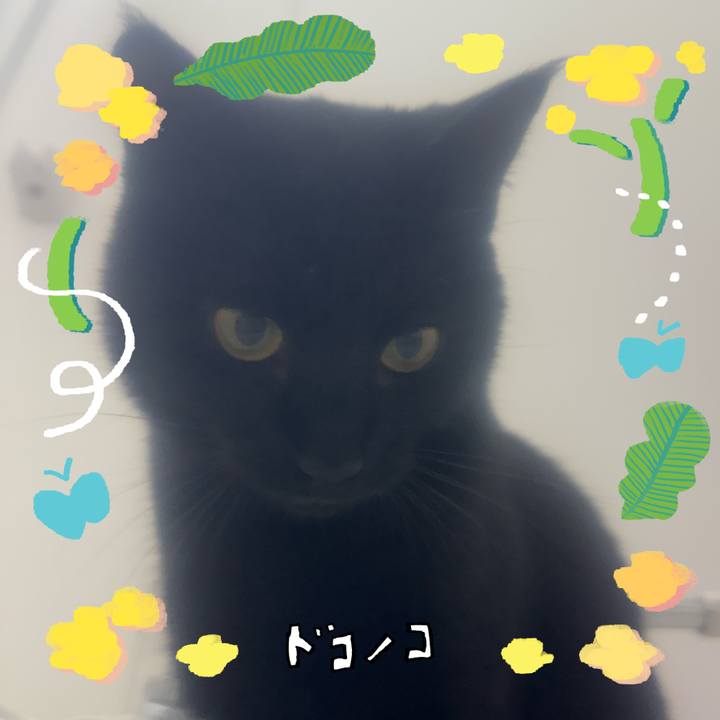 Aad702f9 695c 44af 8f6c 946e6d78d07d 1744513551696