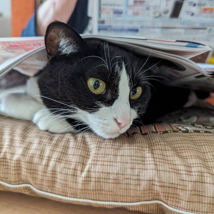 Aad70925 4d0d 4be4 92f3 1c642058d58a 1718534505899